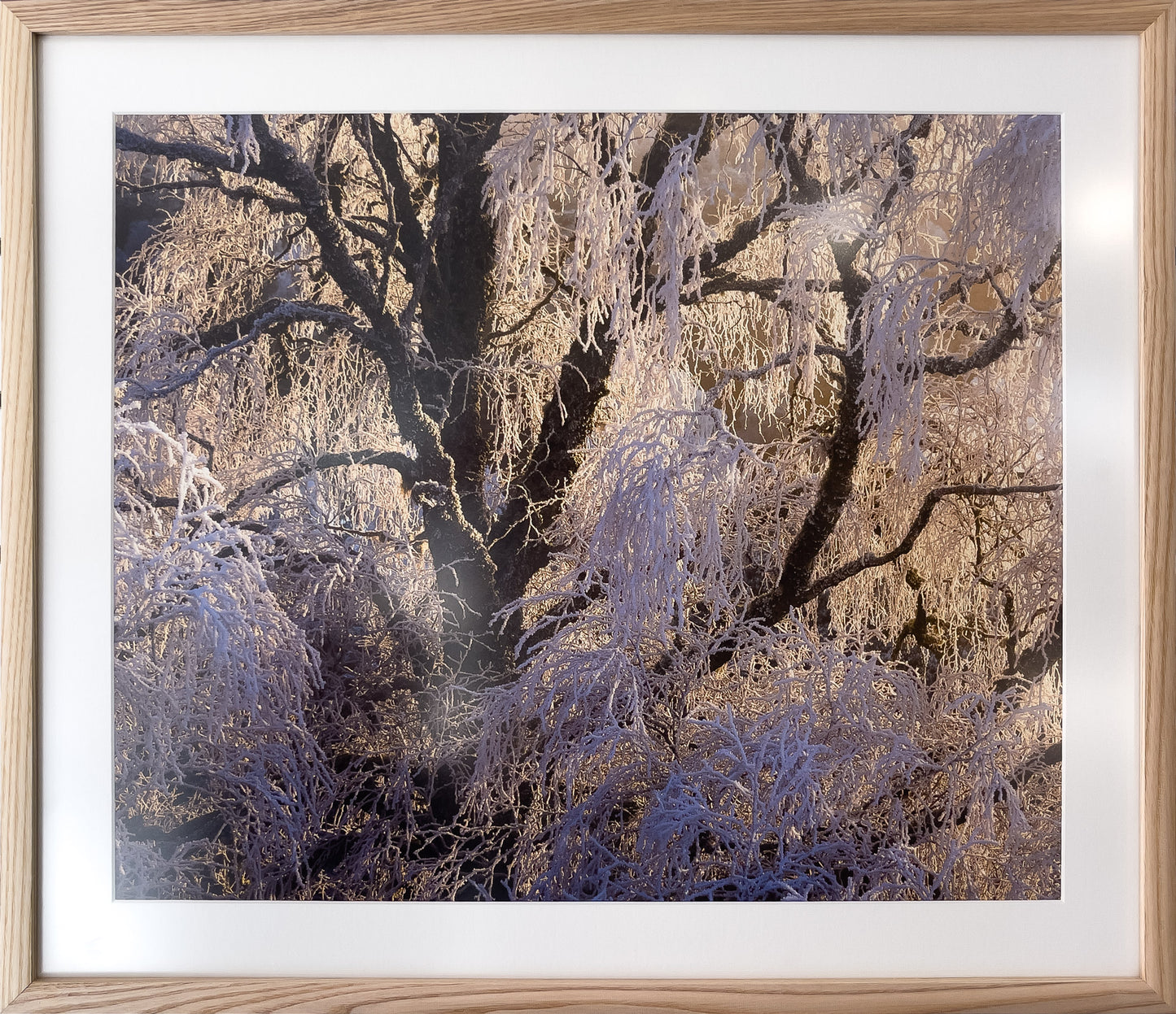 01-Dance-of-the-Birch-framed-Murray-Livingston.jpg