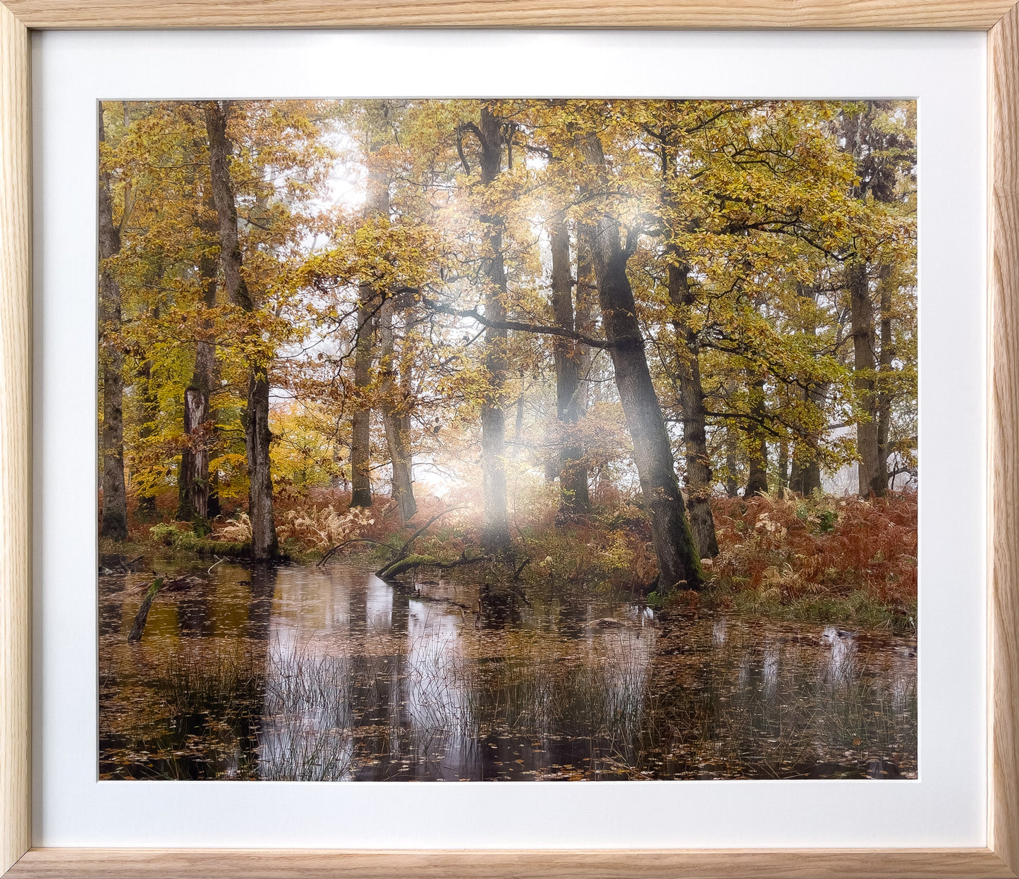 10-Flooded-Oaks-framed-Murray-Livingston.jpg