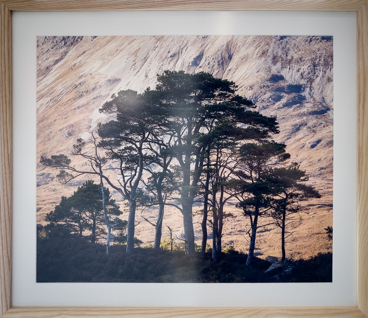 11-Blank-Canvas-framed-Murray-Livingston.jpg