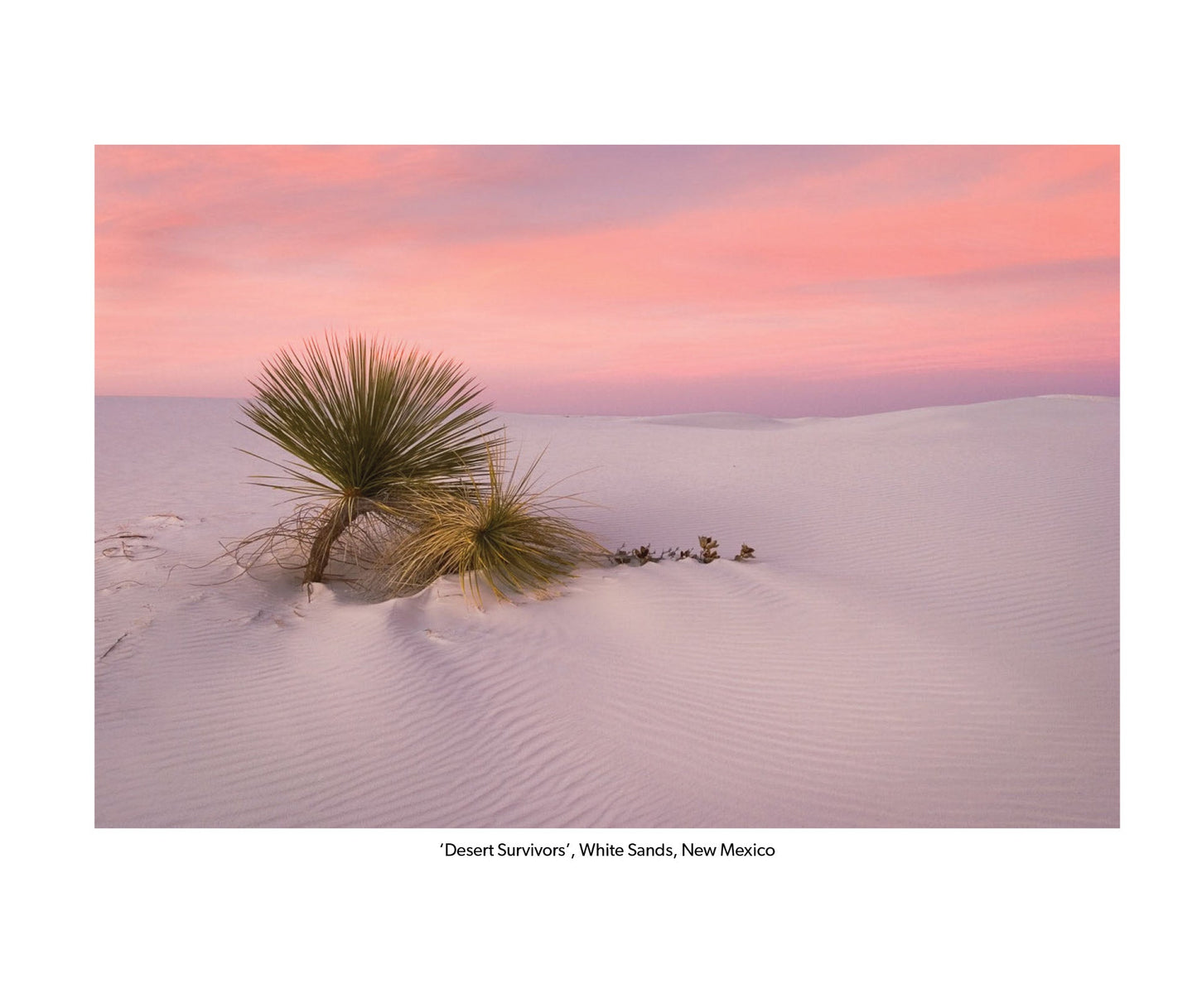 Landscapes of the World
