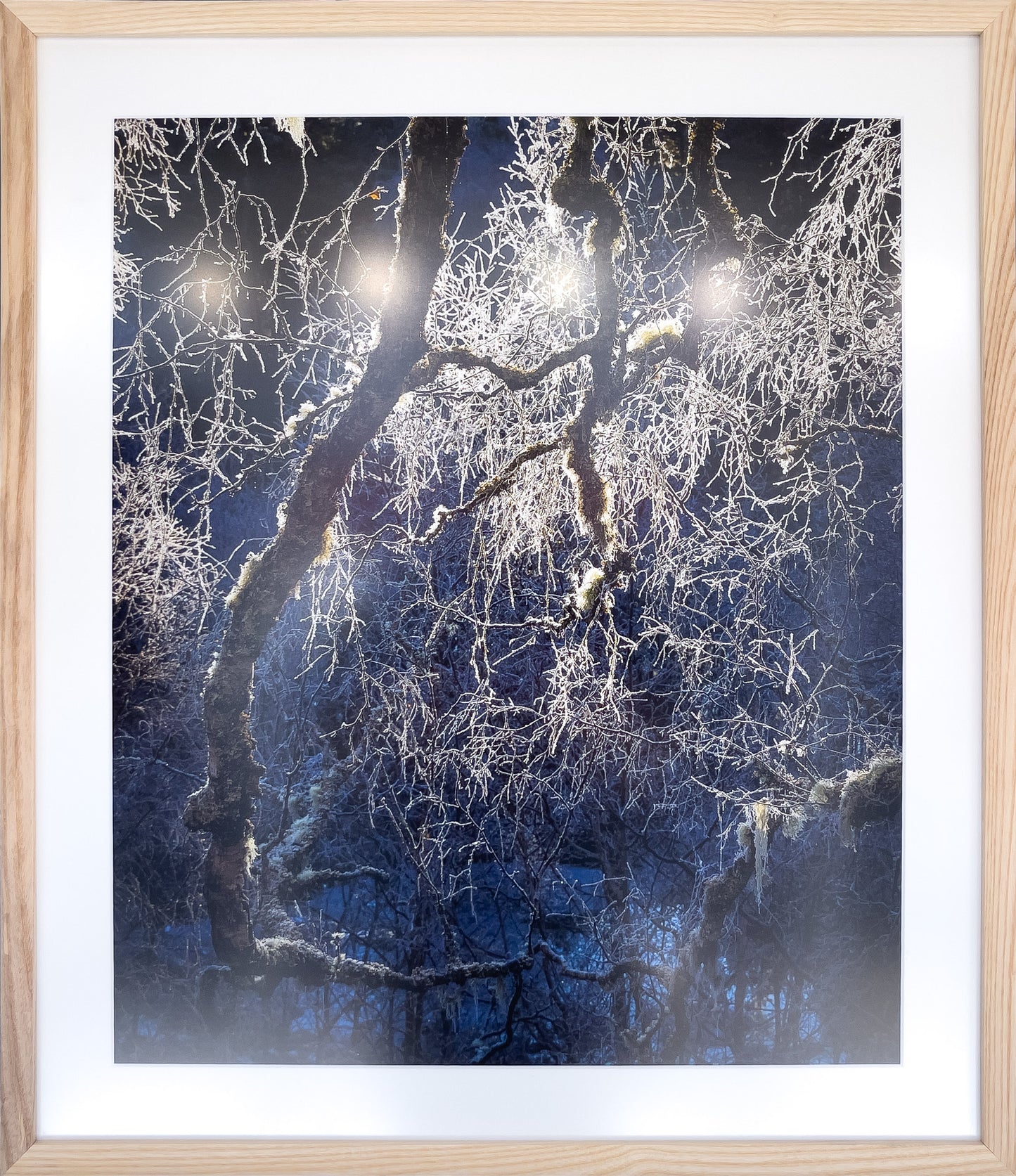 03-Birch-Filigree-framed-Murray-Livingston.jpg