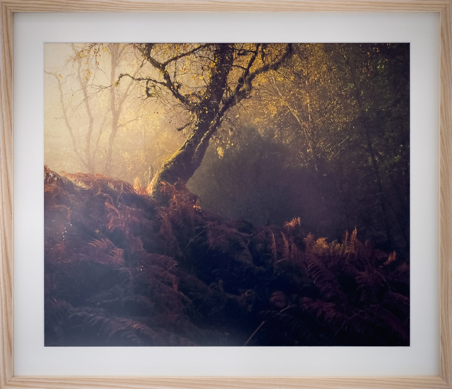 05-Tenderness-framed-Murray-Livingston.jpg