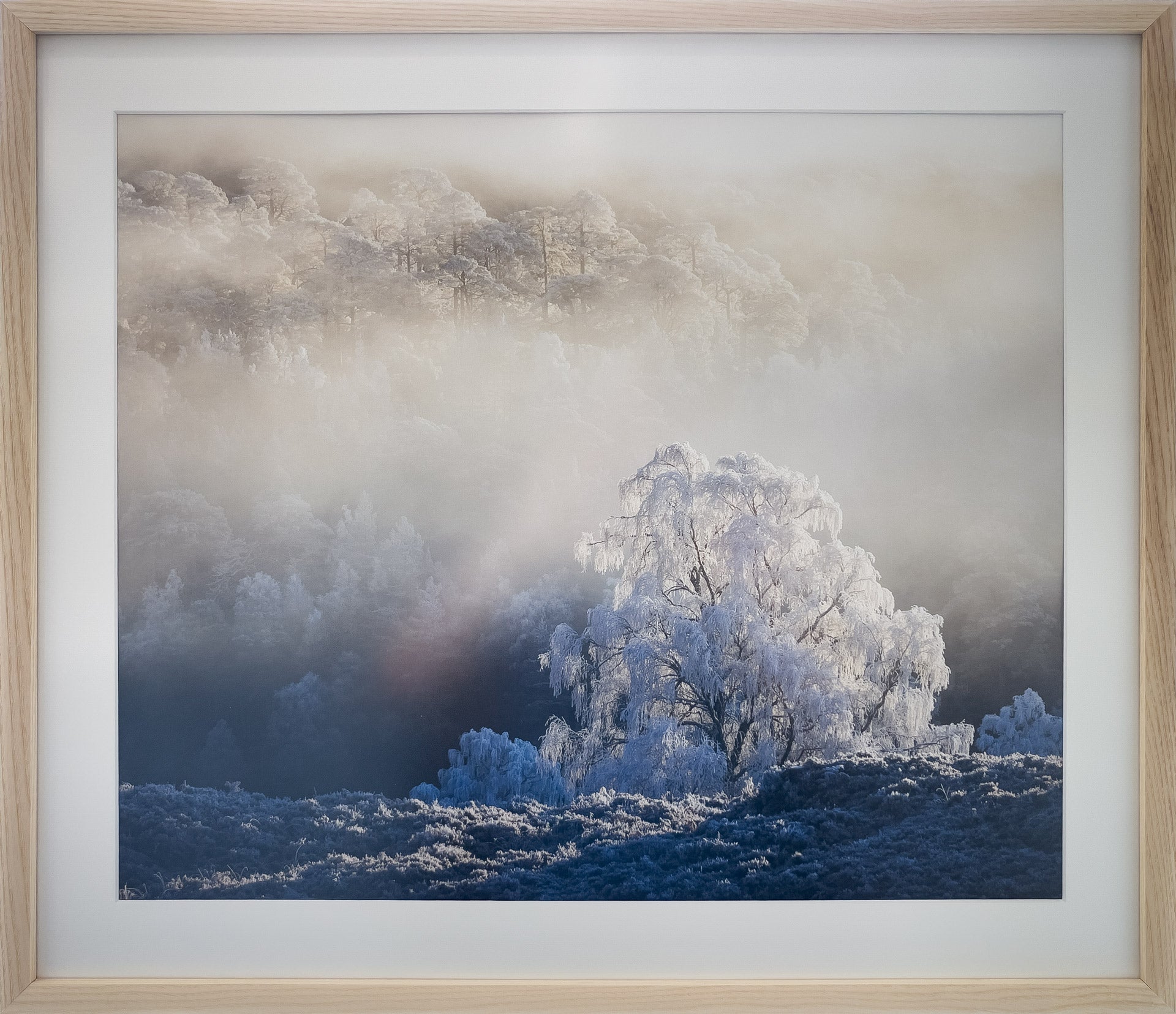 06-Apparitions-framed-Murray-Livingston.jpg