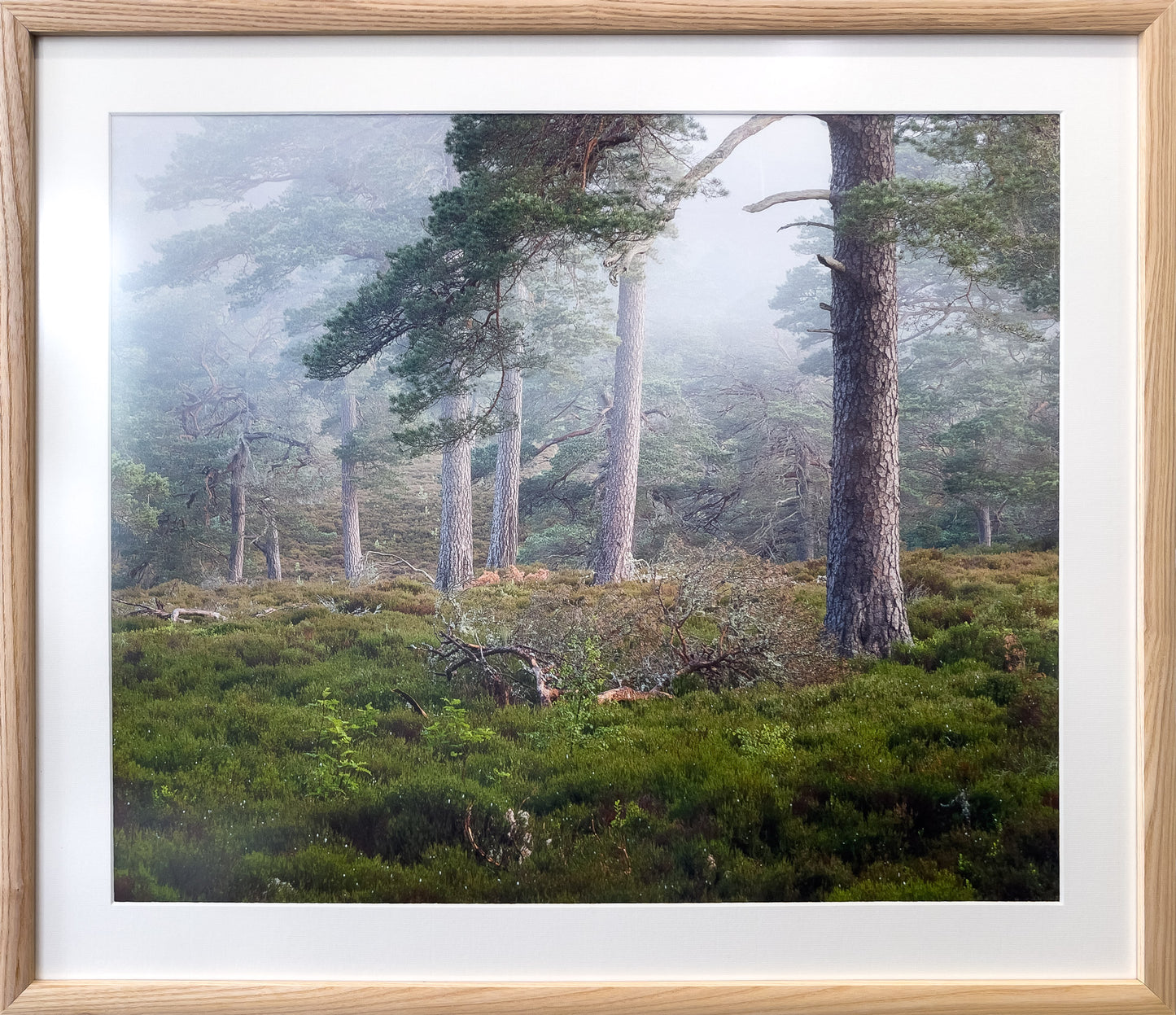 08-Pinewood-Solitude-framed-Murray-Livingston.jpg