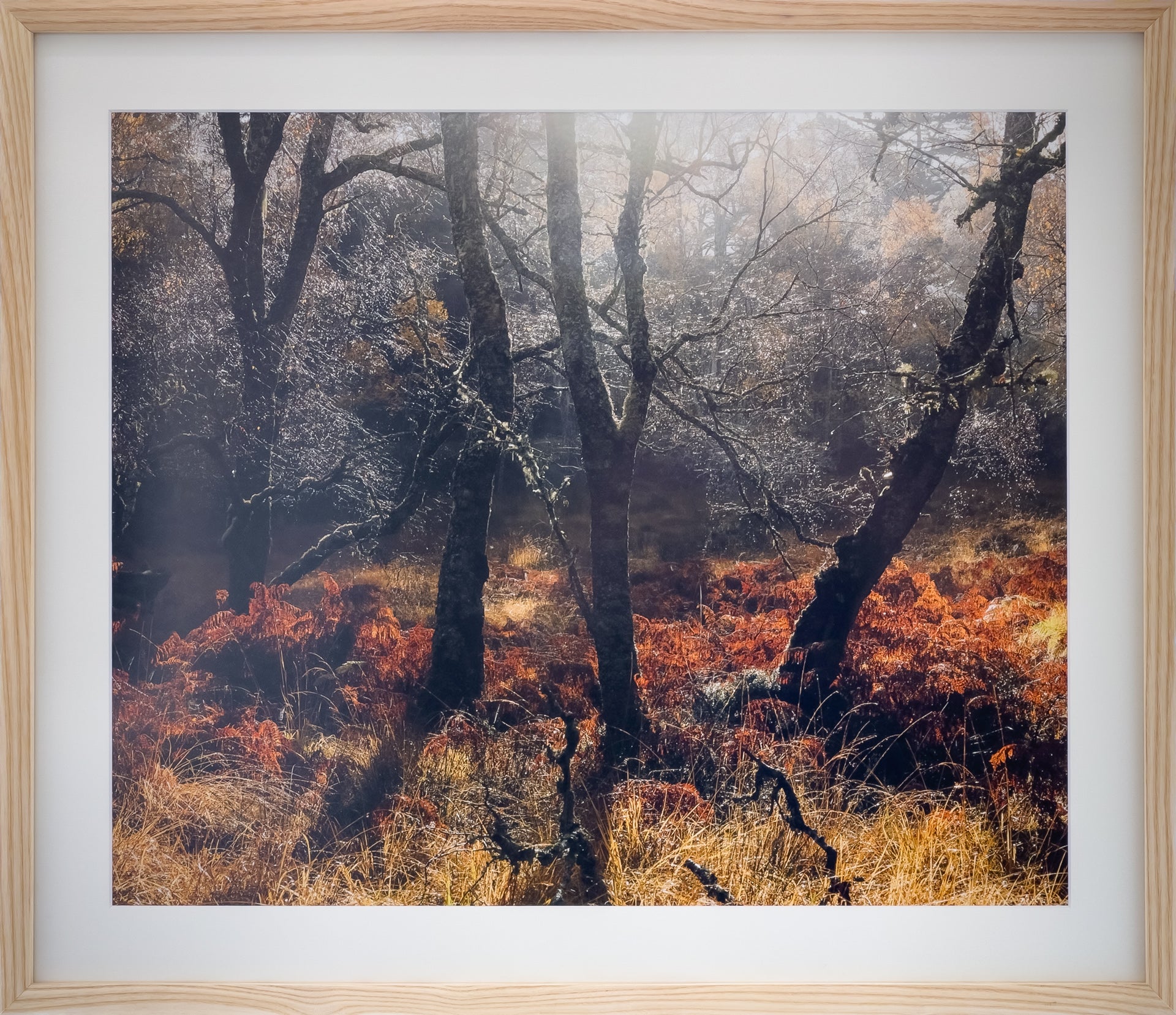 12-Intuition-framed-Murray-Livingston.jpg