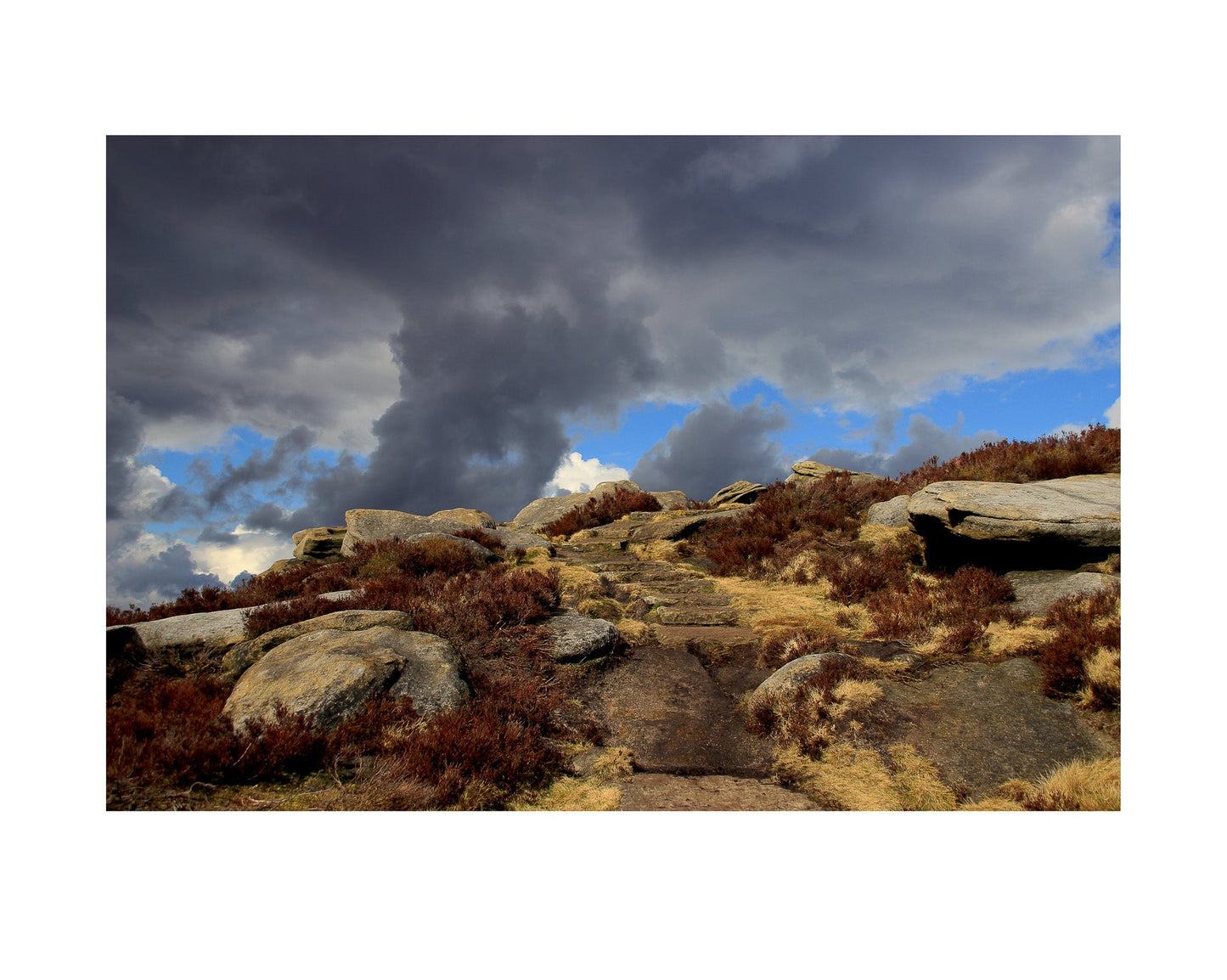 Fine art print of photograph Timeless by Madalina Dranca