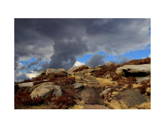 Fine art print of photograph Timeless by Madalina Dranca
