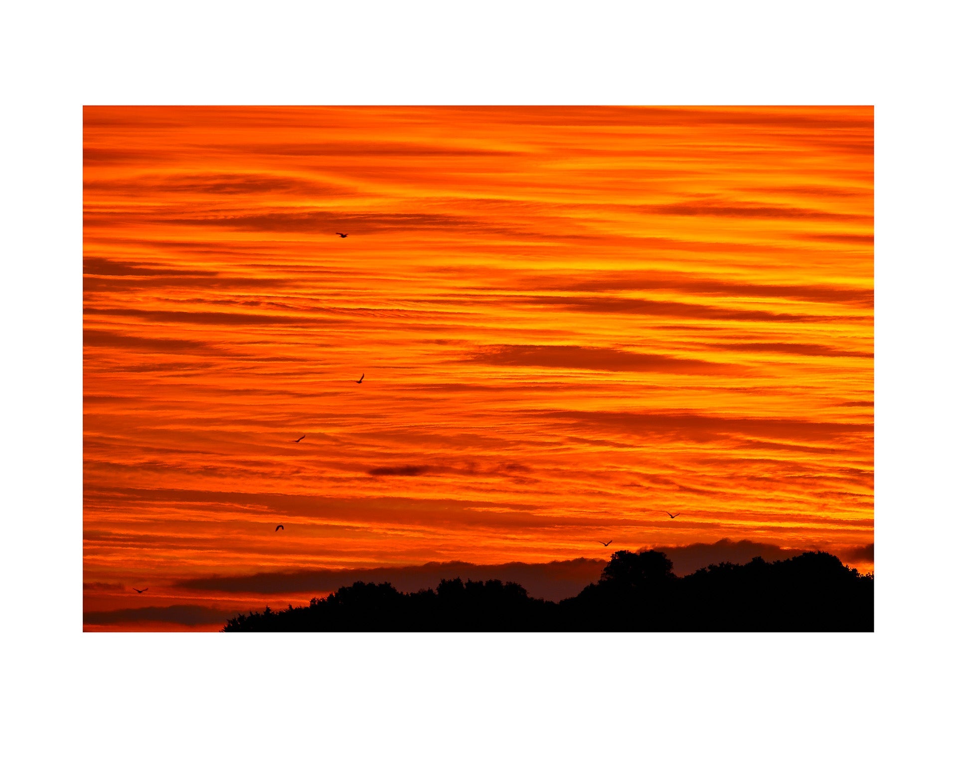 Fine art print of photograph Ascent into Crimson Skies by Ian Harvey