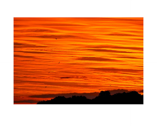 Fine art print of photograph Ascent into Crimson Skies by Ian Harvey