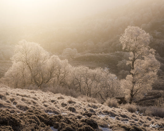A Warm Embrace by Murray Livingston