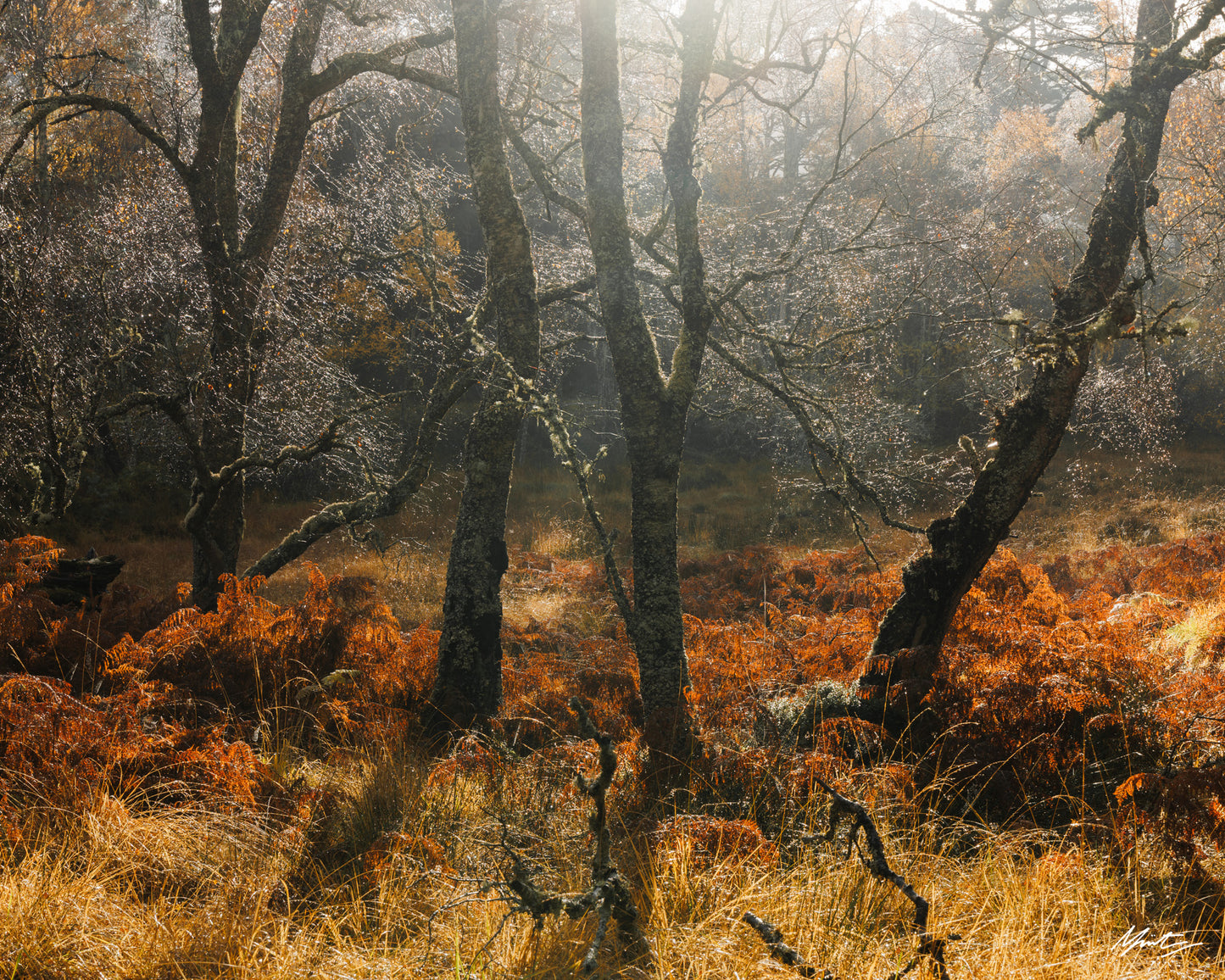 Intuition by Murray Livingston