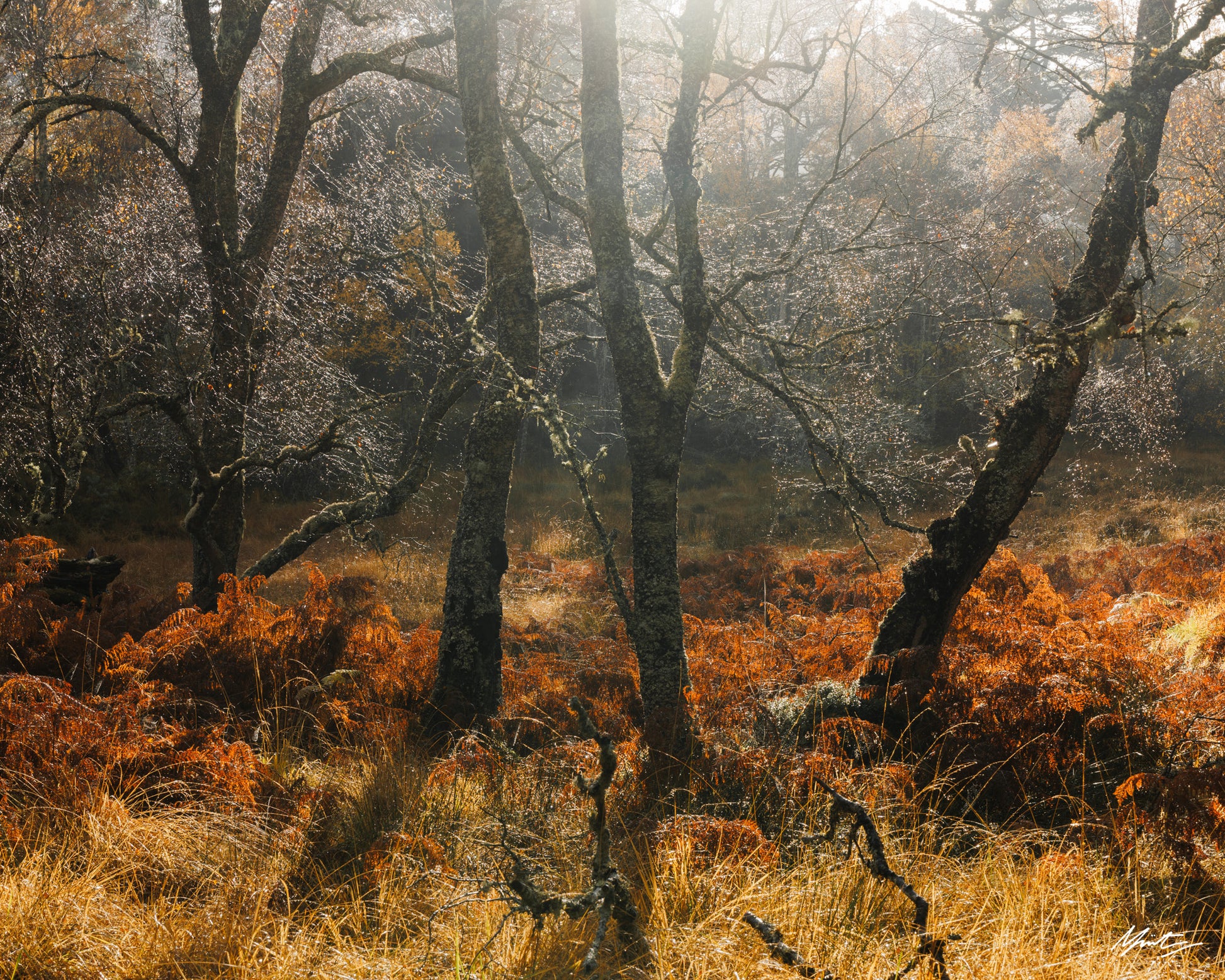 Intuition by Murray Livingston