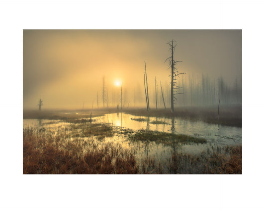 Fine art print of photograph Yellowstone Creek at Dawn by Peter Moore
