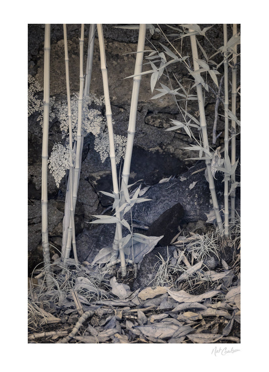Hidden Places by Nat Coalson
