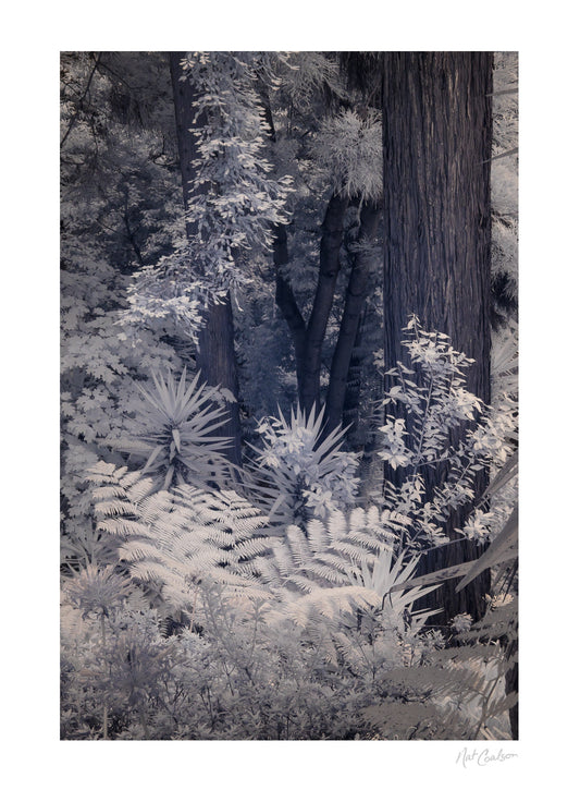 Monte Palace Gardens by Nat Coalson