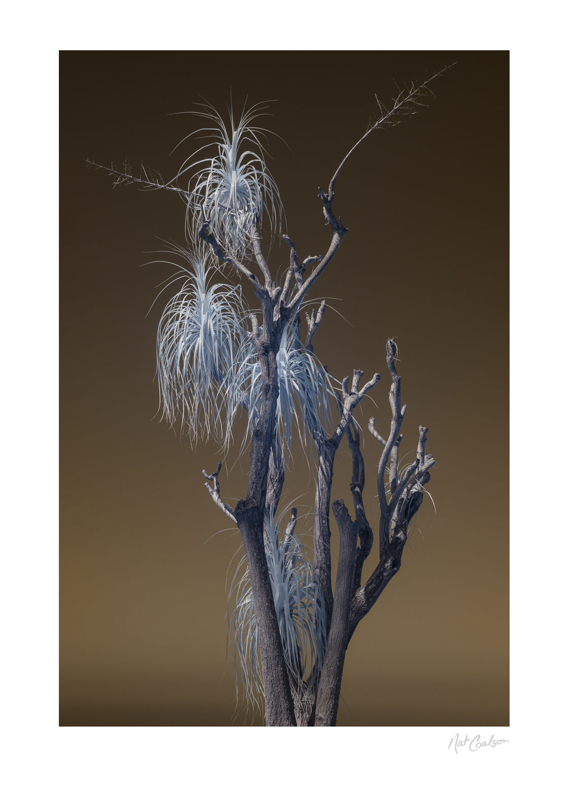 Otherworld by Nat Coalson