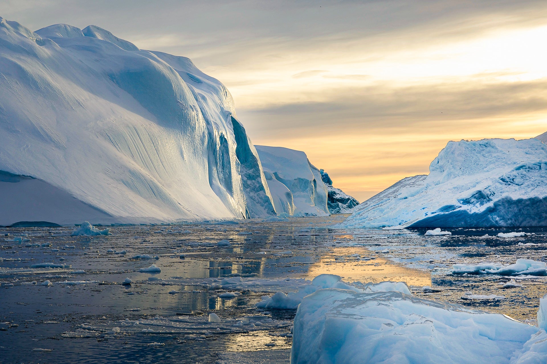 Watkinson-Anne-Icy-Sunset.jpg